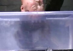 Alemán hermanastra consigue ENCULADA para la japonesas violadas bus primero hora después stepbro masaje